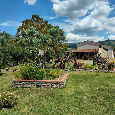 Azienda Agrituristica Verdevalle Cicerale Zewnętrze zdjęcie